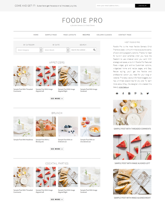 foodie pro recipe food wordpress theme