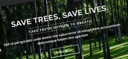 green eco-friendly organic joomla themes feature