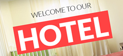 more best hotel wordpress themes feature