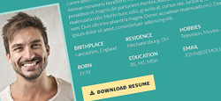 more best resume cv wordpress themes feature