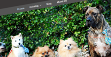 best pet store shopify themes feature