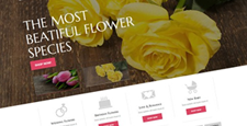 best florists prestashop themes feature