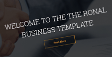 best business drupal themes feature