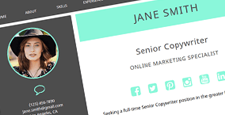 more best resume cv wordpress themes feature