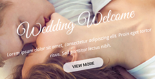 more best wedding wordpress themes feature