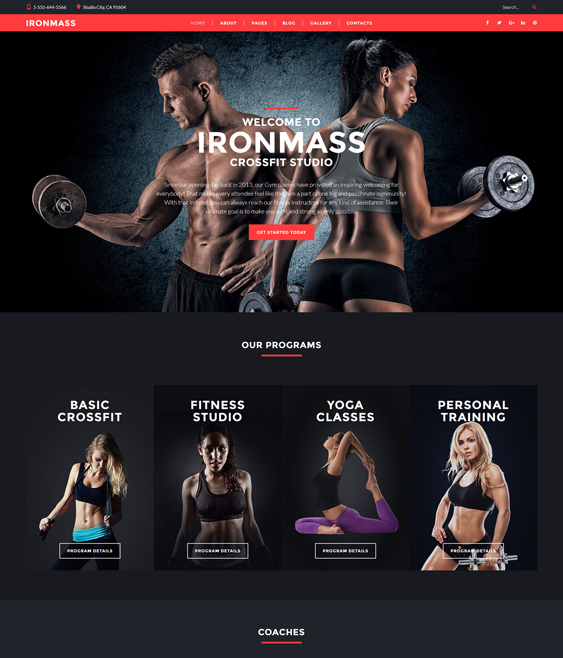wordpress themes fitness gym websites