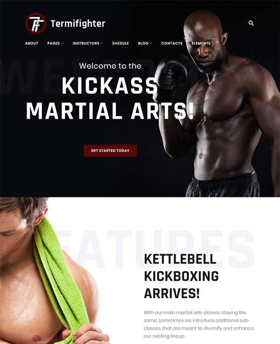 Martial Arts WordPress Themes