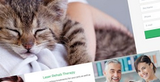 best bootstrap website templates vets animal hospitals feature
