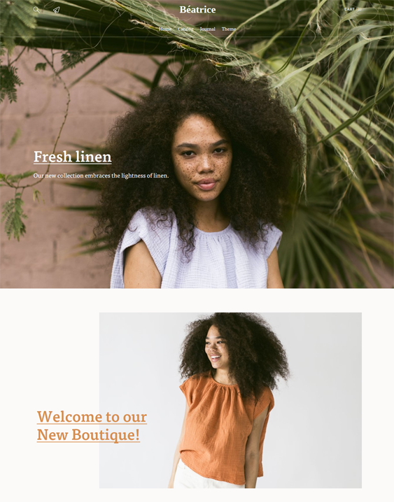 minimal shopify themes for clothing stores