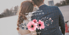 best wedding wordpress themes feature
