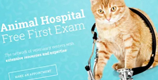 best wordpress themes pets vets feature