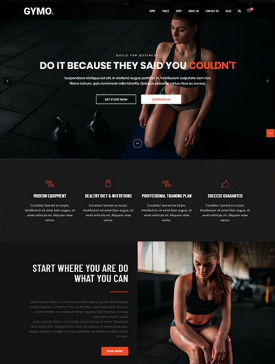 wordpress themes fitness gym websites