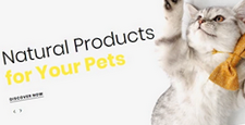 best shopify themes online pet stores feature