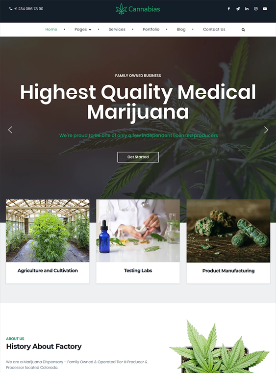 medical marijuana wordpress themes