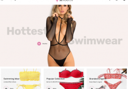 best opencart themes for selling underwear lingerie bikinis swimwear feature