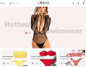 best opencart themes for selling underwear lingerie bikinis swimwear feature