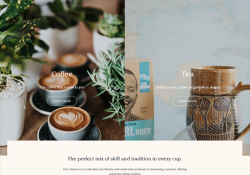 drink store shopify themes feature