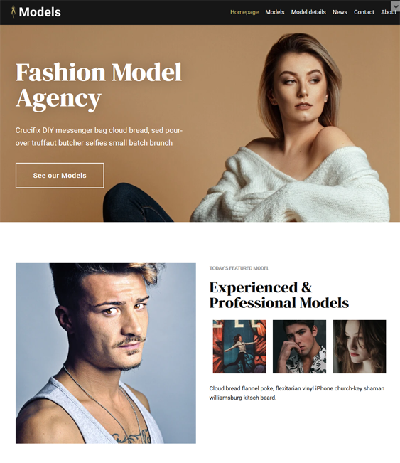 wordpress themes for models modeling agencies