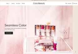 shopify beauty store themes feature