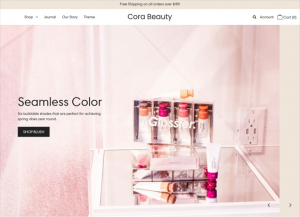 shopify beauty store themes feature