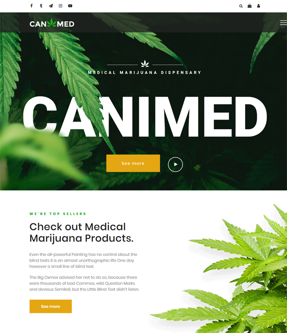 medical marijuana wordpress themes
