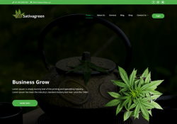medical marijuana wordpress themes feature