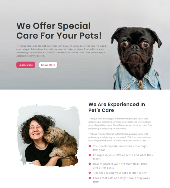 wordpress theme for pets veterinarians