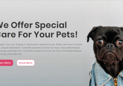 wordpress themes pets veterinarians feature