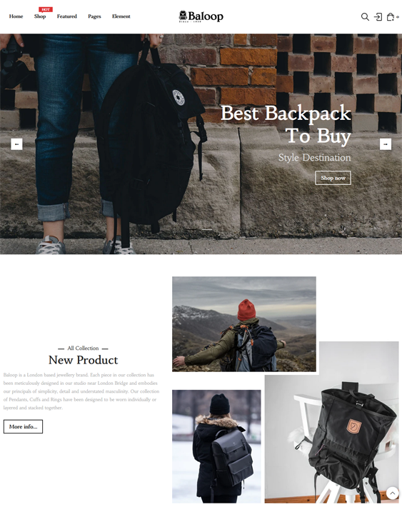 shopify themes for backpack stores
