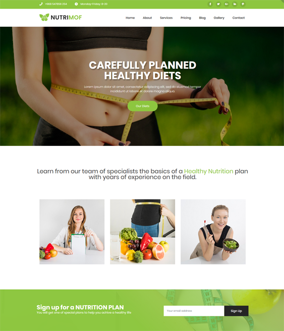 Joomla Templates For Health, Nutrition, And Wellness Websites