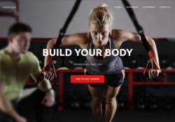 wordpress themes gym fitness centers feature