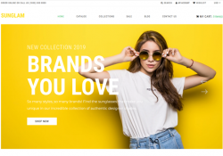 shopify themes for selling sunglasses feature