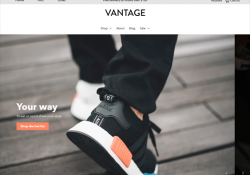 Shopify Themes For Sneaker Stores feature