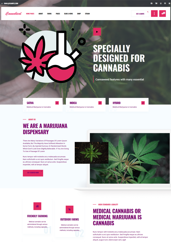 Medical Marijuana WordPress Themes For Cannabis Companies