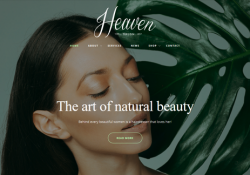 WordPress Themes For Spas And Salons feature
