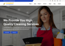 wordpress themes cleaners feature
