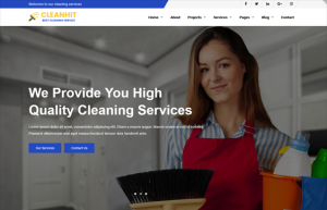 wordpress themes cleaners feature