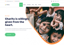 Charity And Non-profit WordPress Themes feature