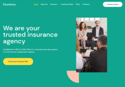 WordPress Themes For Insurance Companies feature