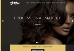 Salon And Spa WordPress Themes feature