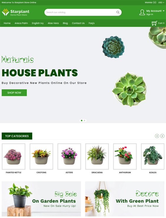 Shopify Themes For Selling House Plants