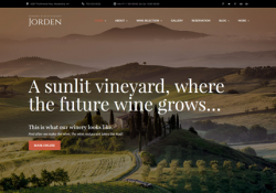 Winery And Wine Shop WordPress Themes feature