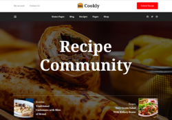 Food And Recipe WordPress Themes feature