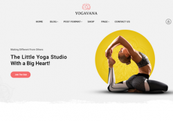 WordPress Themes For Yoga Studios And Instructors feature