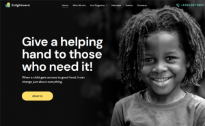 WordPress Themes For Charities And Nonprofits feature