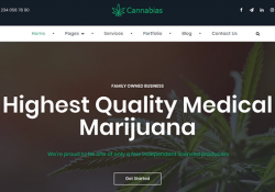 Modern Medical Marijuana WordPress Themes For Cannabis Companies feature