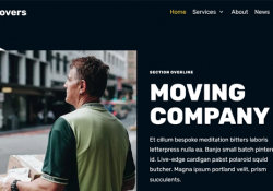 WordPress Themes For Movers And Moving Companies feature