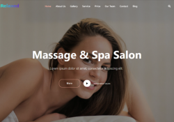 Beauty Salons And Spas feature