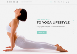 WordPress Themes For Yoga Studios And Teachers feature