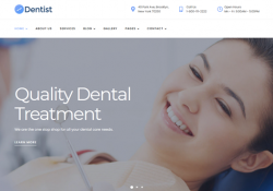 WordPress Themes For Dentists And Dental Clinics feature